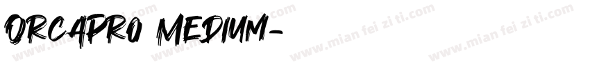 OrcaPro Medium字体转换